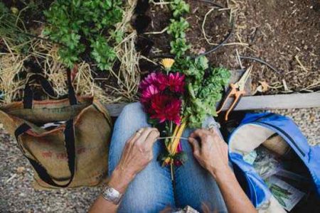 Gardening Basics: Watering Image